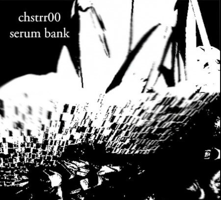 Chstrr00 Remakes SERUM BANK Vol.1 Synth Presets